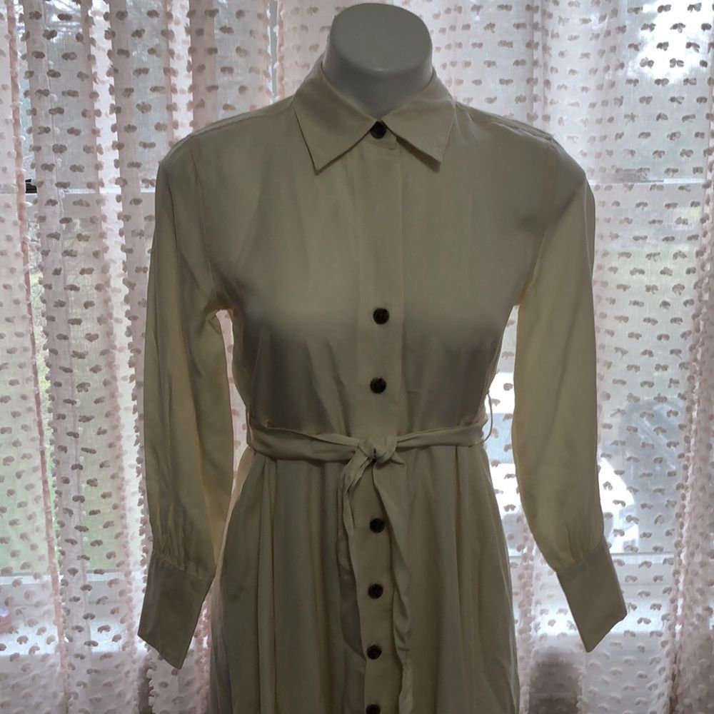 Banana Republic Belted Tencel Shirtdress - Picture 5 of 15